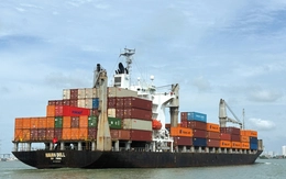 Việt Nam cần có những tập đoàn tư nhân tên tuổi tầm thế giới