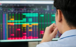 Sau năm lãi lớn nhất lịch sử, nhiều cổ phiếu 'ngành chứng' chiết khấu hơn 40%