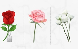 Quiz: Bạn vượt qua căng thẳng bằng cách nào?