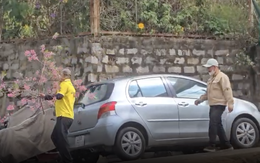 Công an làm việc với người chặt cành mai anh đào ở phường Lâm Viên - Đà Lạt