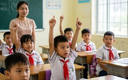 Trí tuệ của sự tò mò