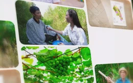 Xã Nguyễn Phích: Hương tràm, mật ngọt dệt nên ‘khát vọng xanh’