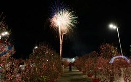 Pháo hoa rực sáng tại Vinhomes Green Paradise Cần Giờ, khai lễ hội xuân