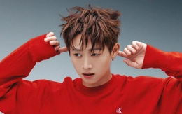 Nhạc Tết thiếu hit bùng nổ khiến người người nhà nhà hát