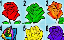 Quiz: Bạn có phải là người hướng ngoại?