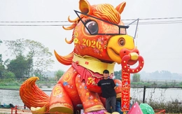 Ngựa tui ngại ghê!