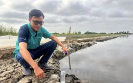 Nước mặn về sớm, nông dân nuôi tôm Miệt Thứ vội cải tạo ao tôm, 'vừa mừng vừa lo'