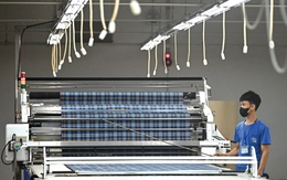 Giai phẩm Tuổi Trẻ Xuân Bính Ngọ 2026