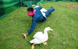 Bộ đội pháo phòng không bịt mắt bắt vịt khiến khán giả cười đau ruột