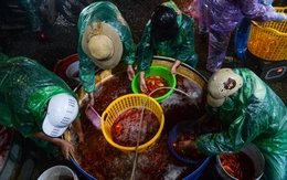 Cảnh tấp nập xuyên đêm ở chợ cá lớn nhất Hà Nội trước ngày ông Công ông Táo