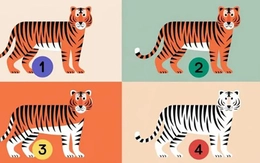 Quiz: Điểm mạnh nổi bật nhất của bạn là gì?