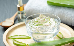 Phát hiện hợp chất nha đam có thể ức chế enzym gây bệnh Alzheimer