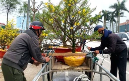 Cuối năm thu nhập khấm khá bằng nghề ‘chở Tết về nhà’