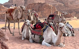 Tour trăm triệu tạm dừng, hàng xuất khẩu 'kẹt' vì chiến sự