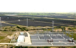 Truy tố cựu Phó cục trưởng Cục Thuế Ninh Thuận cũ vì 'cất' hồ sơ truy thu 73 tỉ đồng