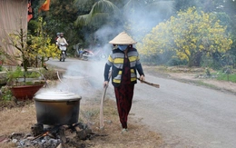 Mùa hoa nở muộn