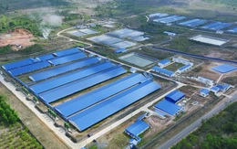 De Heus - Hùng Nhơn bắt tay, kỳ vọng chuỗi liên kết ngành