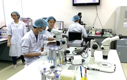 Đại học Quốc gia TP.HCM săn tìm 167 nhà khoa học, ưu đãi nghiên cứu hàng chục tỉ đồng