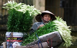 2 yếu tố nền tảng về nhận thức, 5 trọng tâm hành động, 3 trụ cột phát triển 'kinh tế bạc'