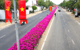 Con đường hoa giấy tím rực ở vùng cao Ninh Thuận cũ níu chân du khách