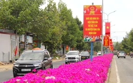 Con đường hoa giấy tím rực ở vùng cao Ninh Thuận cũ níu chân du khách