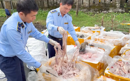 Phát hiện hơn 2,6 tấn nội tạng động vật không rõ nguồn gốc chở trên xe tải