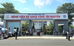 Cấp cứu 3 người bị phản vệ sau khi ăn món vếch bò um cà đắng