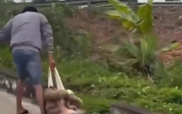 Khởi tố người đàn ông túm áo, kéo lê cô gái trên đường ngày 8-3