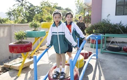 Toyota Việt Nam bền bỉ gieo mầm xanh