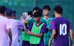 Hai cầu thủ Việt kiều Croatia và Nhật Bản được gọi vào U19 Việt Nam