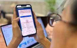 Nhiều phường ở TP.HCM triển khai công cụ tra cứu giúp người dân tìm điểm bỏ phiếu chỉ trong vài giây