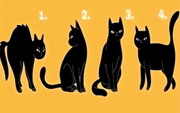 Quiz: Bạn tự tin, tháo vát hay là người nhạy bén?