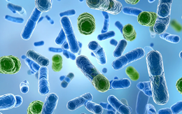 Vì sao có người 100 tuổi vẫn minh mẫn, có người 50 đã lẩn thẩn?