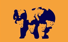 Số lượng gấu nhìn thấy phản ánh độ tinh tường đôi mắt của bạn