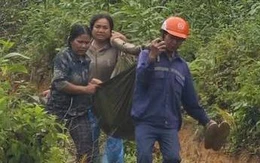 Khai thác keo dưới đường dây 110kV, hai người bị thương nặng do phóng điện