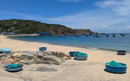 Phát triển cảng cá ở Quy Nhơn thành cảng du lịch