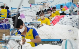 Việt Nam vào top 4 thế giới về nhu cầu tuyển dụng, 87% doanh nghiệp đã ứng dụng AI