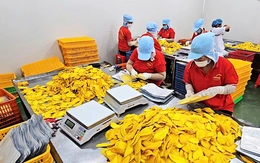 Giá dầu tăng, doanh nghiệp kiến nghị biện pháp giảm áp lực chi phí