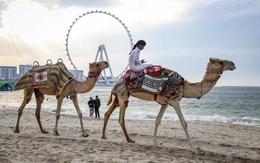 Mỹ - Israel tấn công Iran