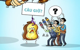 AFC khiến người hâm mộ bóng đá bị 'việt vị'