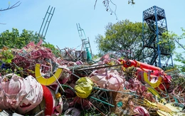 Vườn chim quý trăm năm ở Bạc Liêu hoang tàn