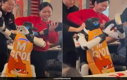 Robot 'quẩy tới bến' giữa nhà hàng nghi do... stress
