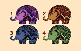 Quiz: Đức tính nào nổi bật nhất trong tính cách của bạn?