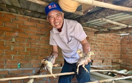 Mất đàn gà sau lũ, người dân Bình Định vui mừng nhận gà giống để tái đàn