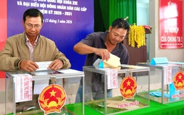 Bầu cử đại biểu Quốc hội và HĐND các cấp