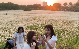 Đồng cỏ tại làng đại học ở TP.HCM thu hút nhiều bạn trẻ 'săn' hoàng hôn