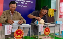 Bầu cử đại biểu Quốc hội và HĐND các cấp