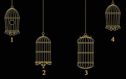 Quiz: Điều gì đang cản trở bạn thành công?