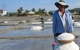 Giá muối tăng kỷ lục, diêm dân Sa Huỳnh phấn khởi vào vụ mới