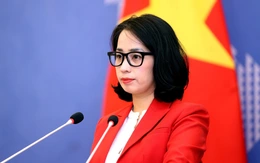 Phản ứng của Việt Nam khi bị Mỹ điều tra thương mại theo Mục 301